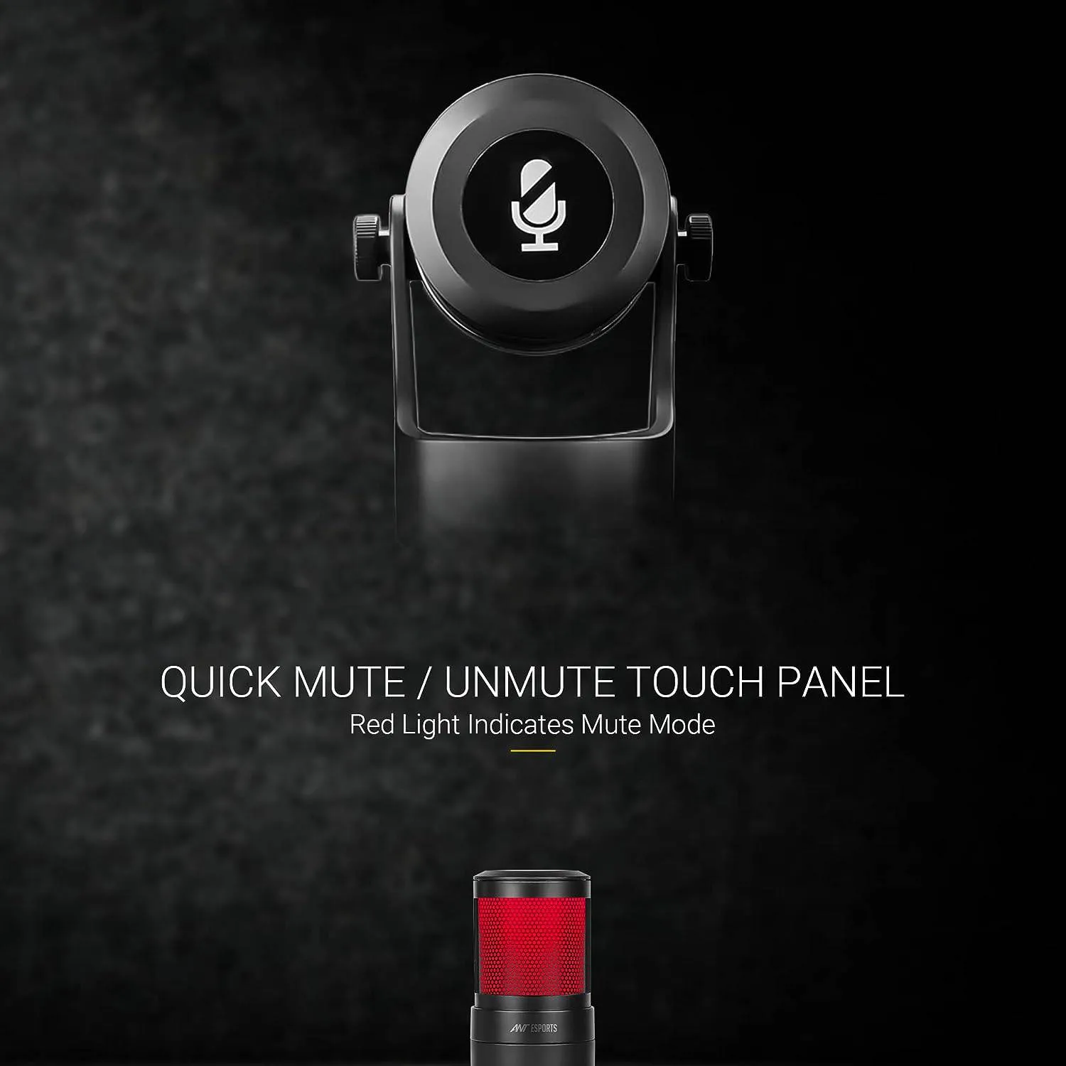 Ant Esports Wente 220 RGB Microphone