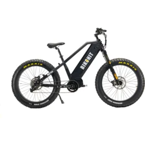 BIKONIT, WARTHOG, MD 750, All Terrain Electric Bike - 750 Watt, 48V (15Ah)
