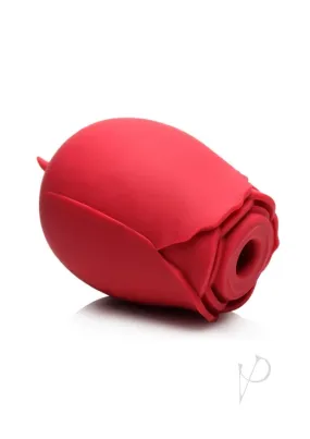 Bloomgasm Double Tease Rose Red