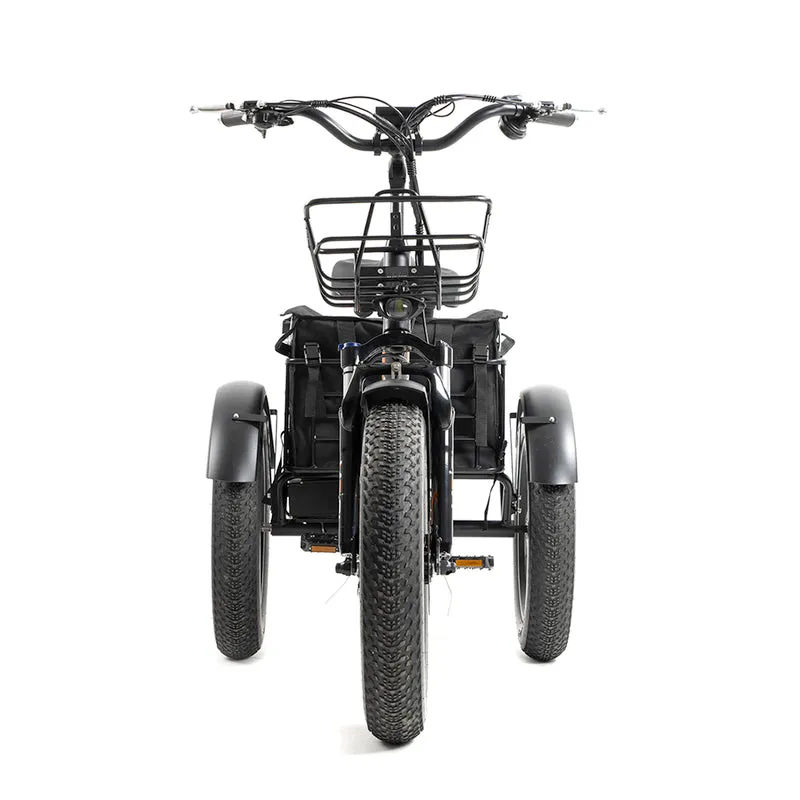 DWMEIGI Zeus MG1703 48V/18.2Ah 750W Electric Trike