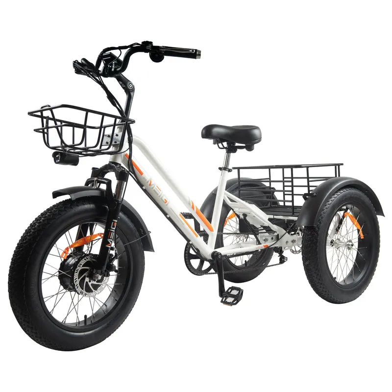 DWMEIGI Zeus MG1703 48V/18.2Ah 750W Electric Trike