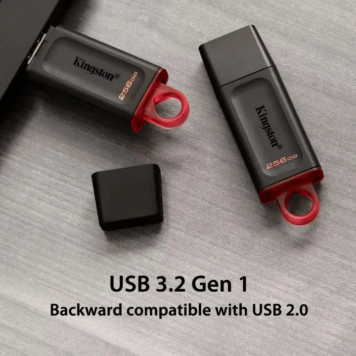 Kingston DataTraveler Exodia DTX USB 3.2 Flash Drive (128GB / 64GB / 32GB)