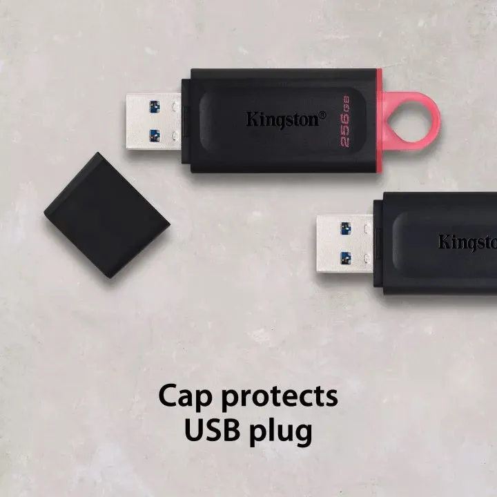 Kingston DataTraveler Exodia DTX USB 3.2 Flash Drive (128GB / 64GB / 32GB)