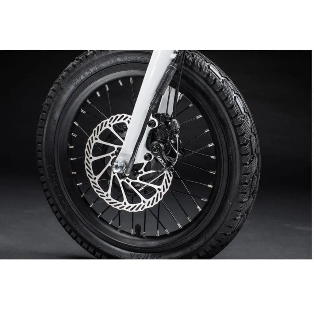 Qualisports Nemo 250W 36V Folding Electric Bike