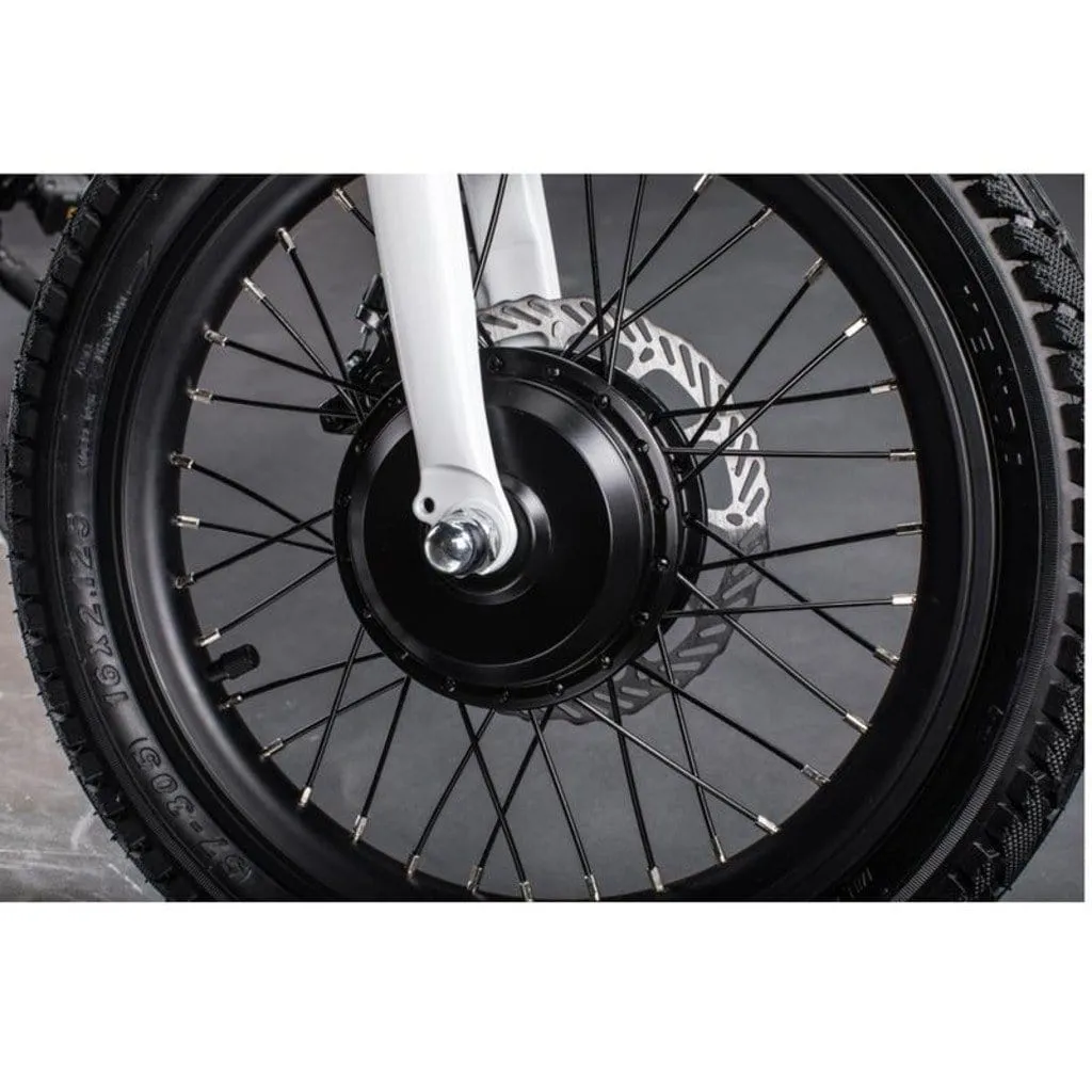 Qualisports Nemo 250W 36V Folding Electric Bike