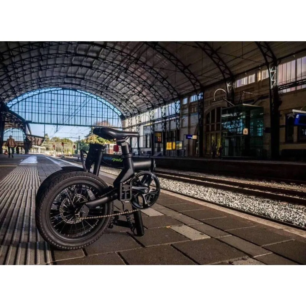 Qualisports Nemo 250W 36V Folding Electric Bike